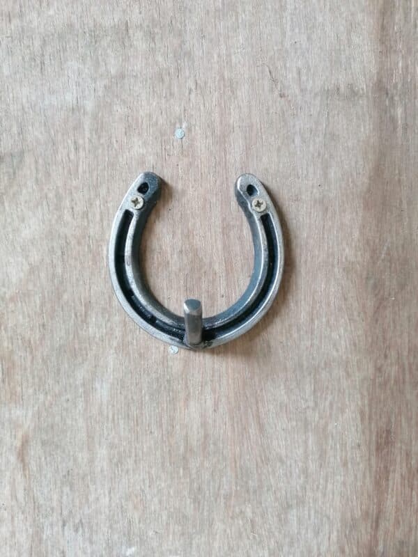 Horseshoe hook