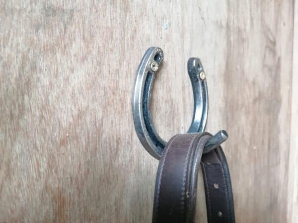 horse shoe hook